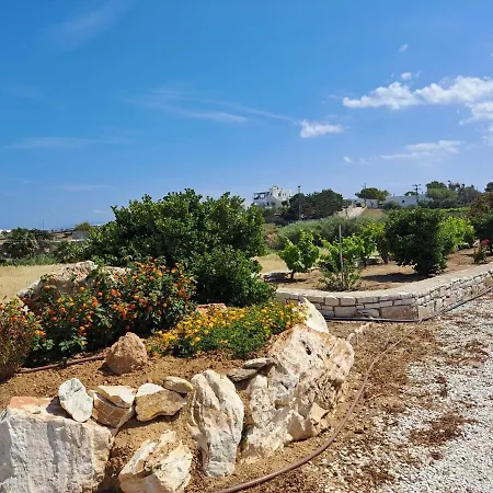 Jean Claud * Marpissa